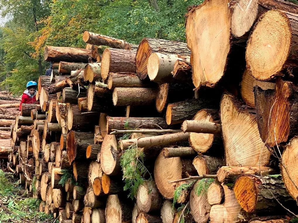 Gobions Wood