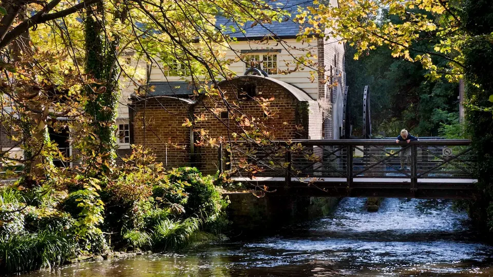 Morden Hall Park (National Trust)