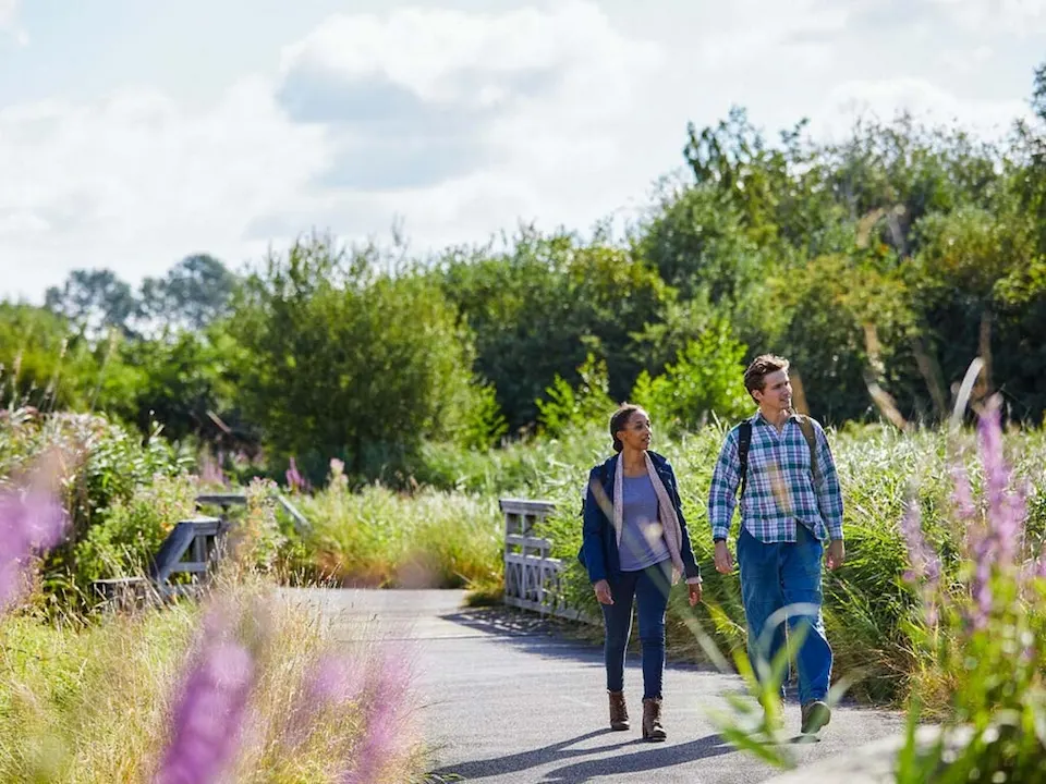 London Wetland Centre (WWT Barnes)