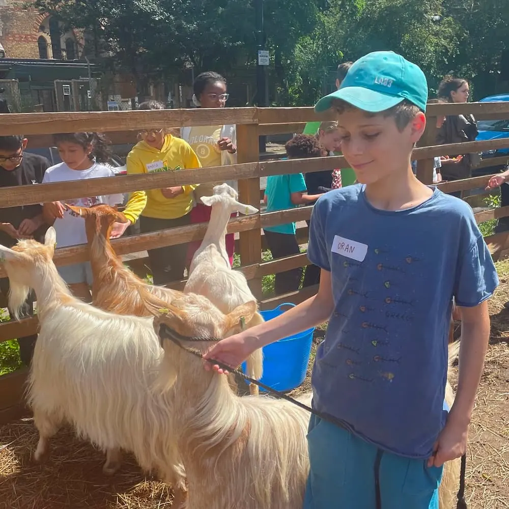 Vauxhall City Farm