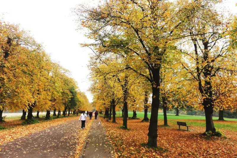 Trent Country Park