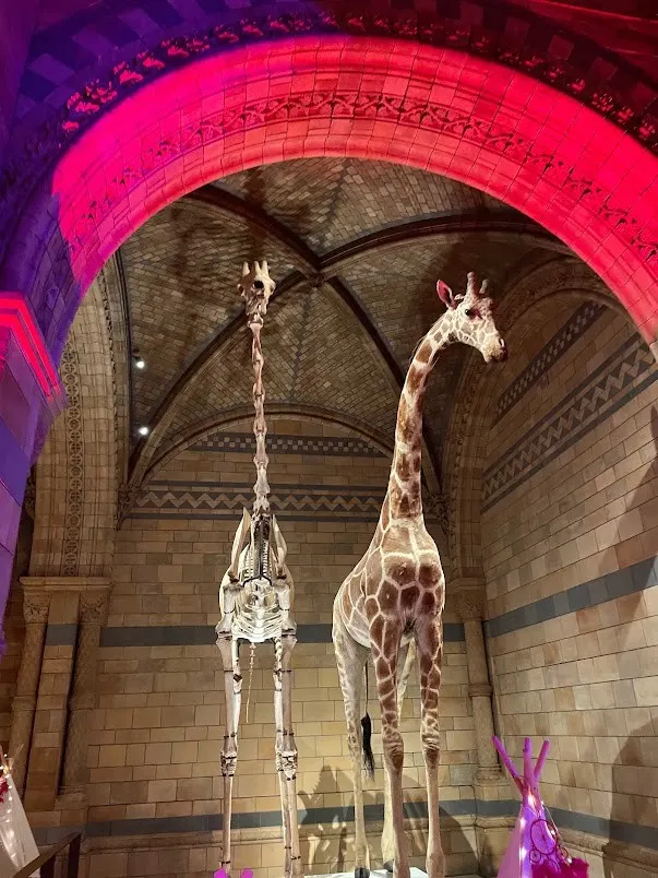 Natural History Museum