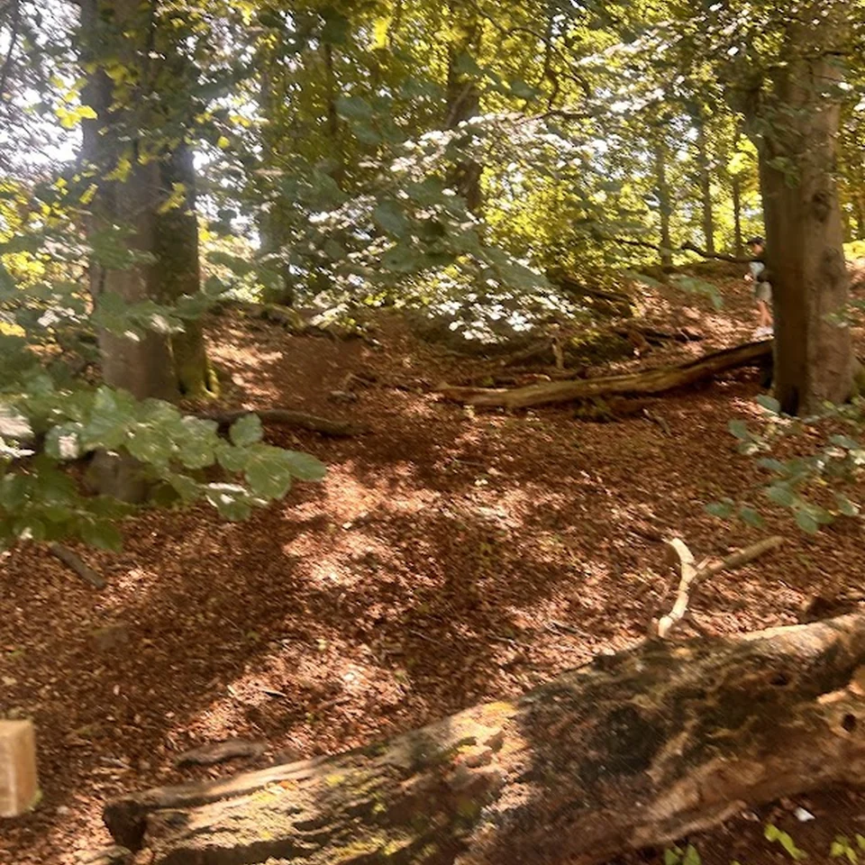 Parkland Walk
